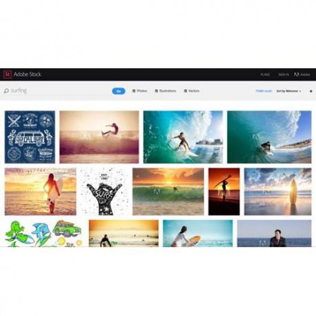 Adobe Stock Medium for teams - Abbonamento 12 mesi