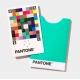 Pantone Color Match Card (5 pack)
