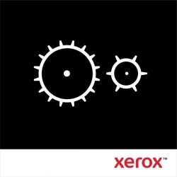Xerox Phaser 5500/5550 - Kit di manutenzione 220 Volt (300.000 pagine)