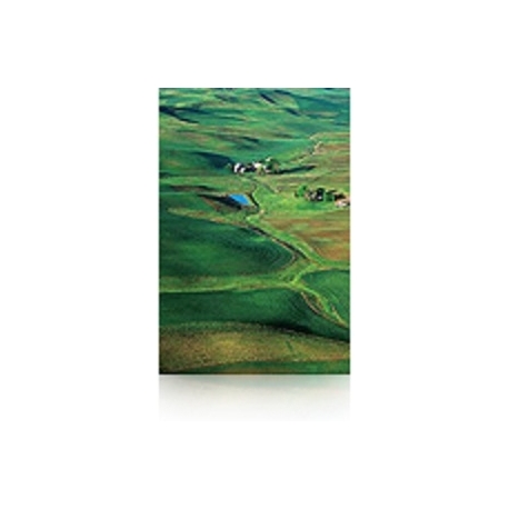 Epson Premium SemiGloss Photo Paper(250), in rotoli da 152, 4cm x 30, 5m