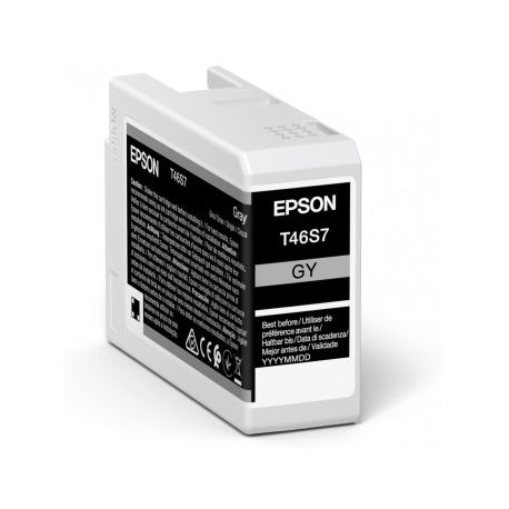Epson UltraChrome Pro cartuccia d'inchiostro 1 pz Originale Grigio