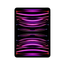 IPAD PRO 11'' WI-FI + CELLULAR 512GB GRIGIO SIDERALE