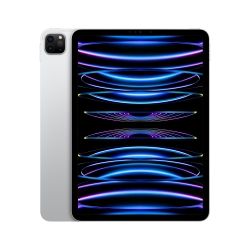 IPAD PRO 11'' M2 WI-FI 128GB GRIGIO SIDERALE