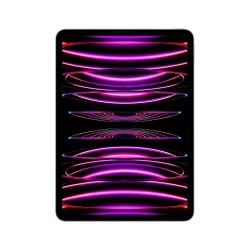 IPAD PRO 11'' WI-FI 2TB GRIGIO SIDERALE