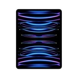 IPAD PRO 12.9'' WI-FI + CELLULAR 1TB ARGENTO