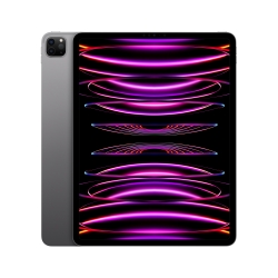 IPAD PRO 12.9'' WI-FI 128GB GRIGIO SIDERALE