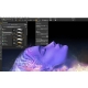 Corel Painter 2023 aggiornamento per Mac e Win EN, DE, FR - ESD