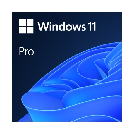 Windows 11 Pro 64-BIT Italiano Download