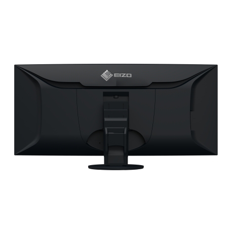 EIZO FlexScan EV3895 monitor 37,5" con FlexStand - NERO