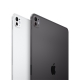 IPAD PRO 11" WI-FI + CELLULAR 512GB CON VETRO STANDARD ARGENTO