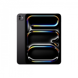 IPAD PRO 11" WI-FI + CELLULAR 256GB CON VETRO STANDARD NERO SIDERALE