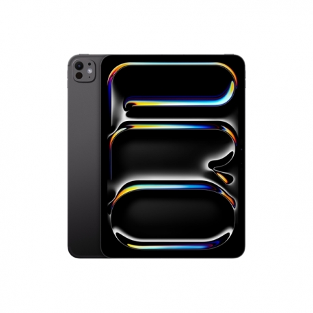 IPAD PRO 11" WI-FI + CELLULAR 256GB CON VETRO STANDARD NERO SIDERALE