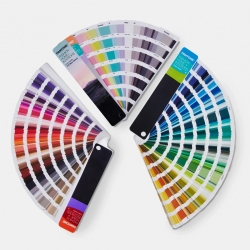 Pantone Fashion, Home + Interiors Color Guide + Dualities