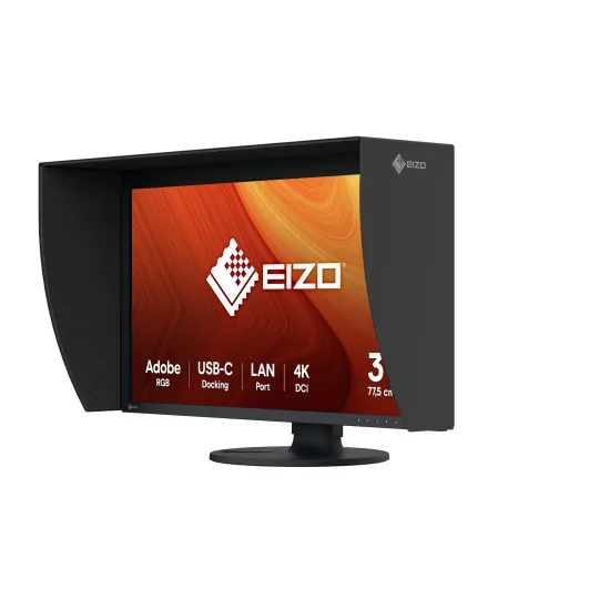 EIZO ColorEdge CG3100X monitor 31" per post-produzione e video-editing - NERO