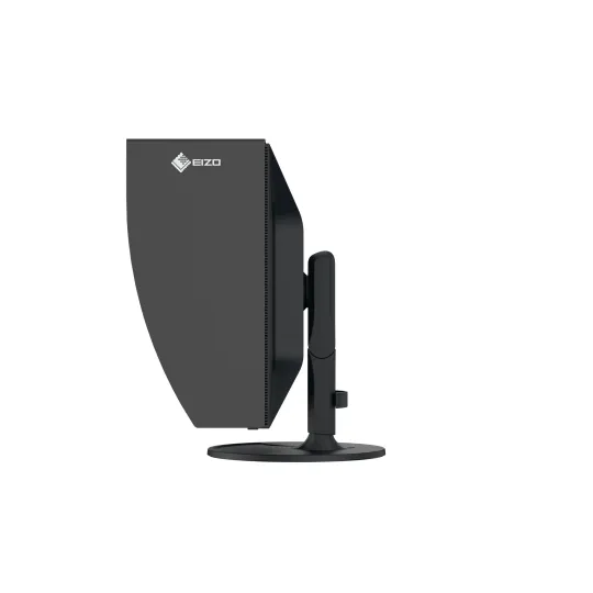 EIZO ColorEdge CG3100X monitor 31" per post-produzione e video-editing - NERO