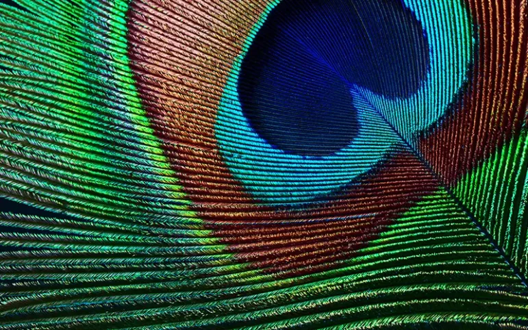 Epson EH-TW7000