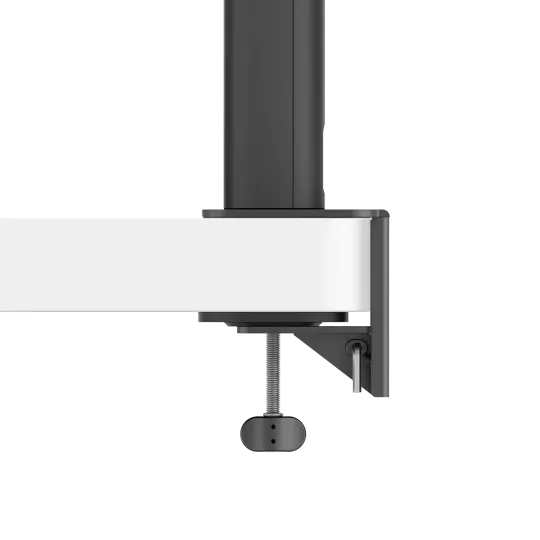 BenQ RD320UA Monitor PC 80 cm (31.5") 3840 x 2160 Pixel 4K Ultra HD