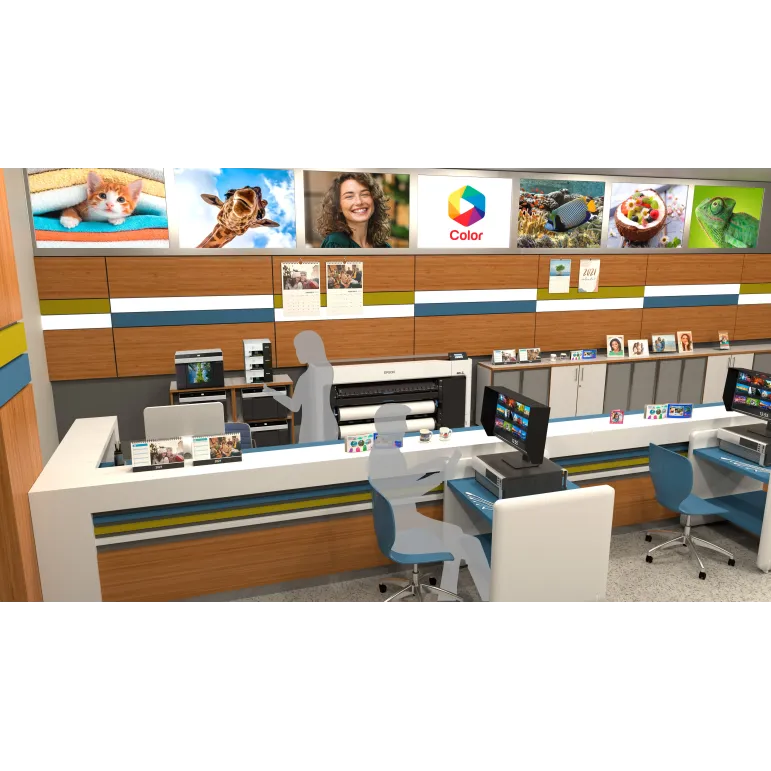 Epson SureLab SL-D500