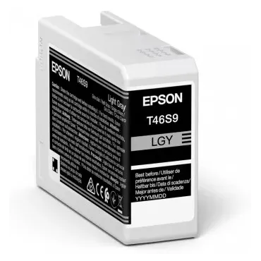 Epson UltraChrome Pro cartuccia d'inchiostro 1 pz Originale Grigio chiaro