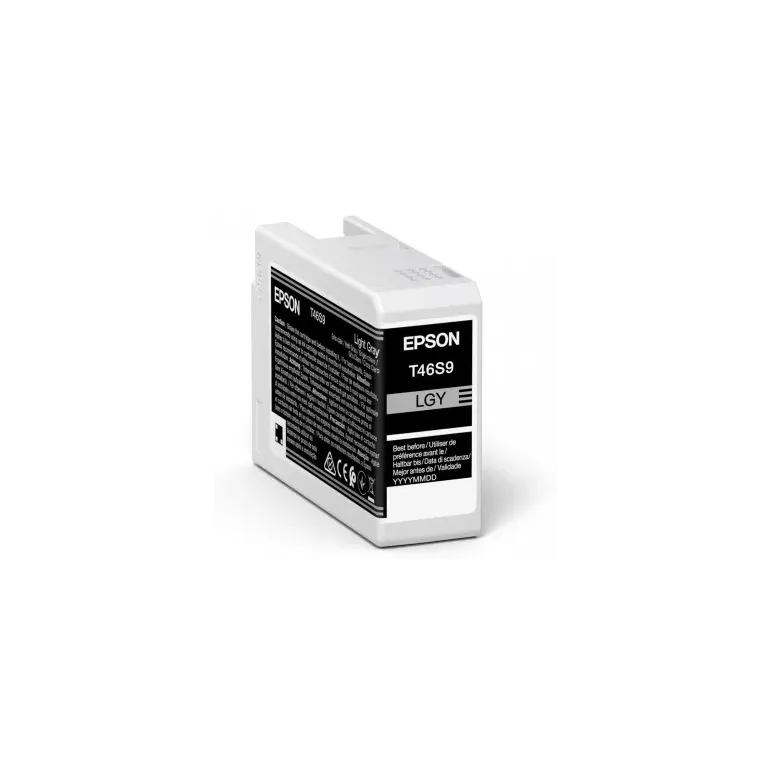 Epson UltraChrome Pro cartuccia d'inchiostro 1 pz Originale Grigio chiaro