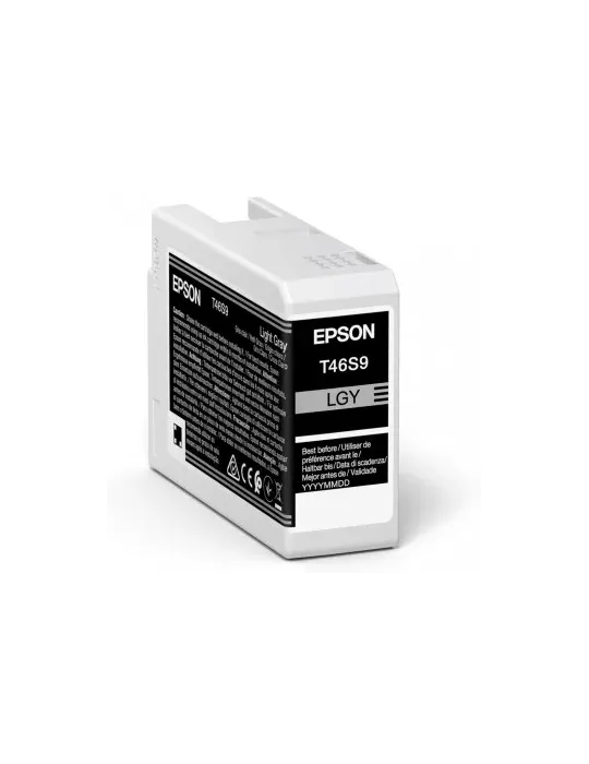 Epson UltraChrome Pro cartuccia d'inchiostro 1 pz Originale Grigio chiaro
