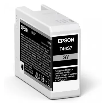 Epson UltraChrome Pro cartuccia d'inchiostro 1 pz Originale Grigio