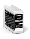 Epson UltraChrome Pro cartuccia d'inchiostro 1 pz Originale Grigio