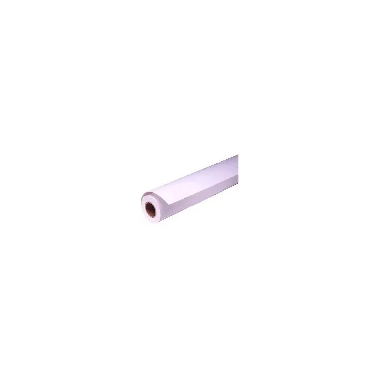 Epson Carta fotografica lucida Premium(250), in rotoli da 40, 64cm x 30, 5m.