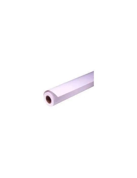 Epson Proofing Paper White Semimatte, in rotoli da111,8cm (44'') x 30, 48 m (44" x 100').