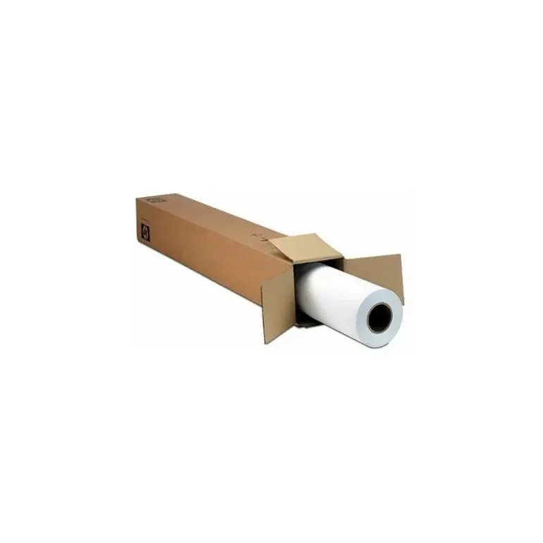 Epson Premium SemiGloss Photo Paper(170), in rotoli da 152, 4cm x 30, 5m