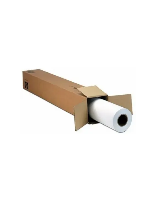 Epson Premium SemiGloss Photo Paper(170), in rotoli da 152, 4cm x 30, 5m