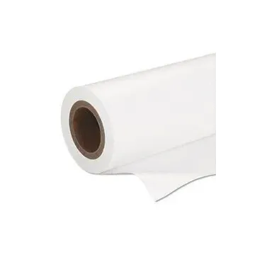 Epson Premium SemiGloss Photo Paper(170), in rotoli da 41, 91 cm x 30, 48m (16, 5" x 100').