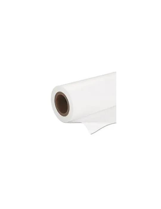 Epson Premium SemiGloss Photo Paper(170), in rotoli da 41, 91 cm x 30, 48m (16, 5" x 100').