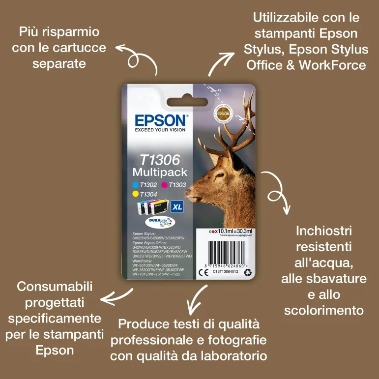 Epson Inchiostro nero singolo DURABrite Ultra Cervo T1301