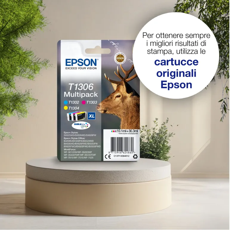 Epson Inchiostro nero singolo DURABrite Ultra Cervo T1301
