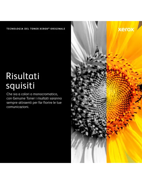 Xerox Cartuccia toner per Phaser™ 5500 - 113R00668