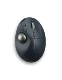 Kensington Pro Fit Ergo TB550 Trackball