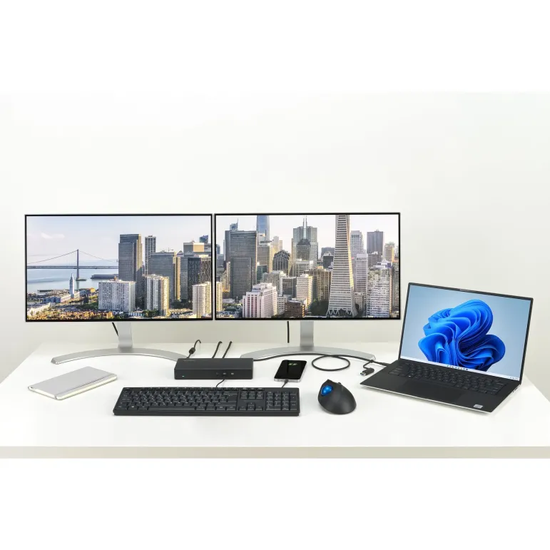 Kensington Docking station doppio 4K USB-C e USB-A SD4781P EQ
