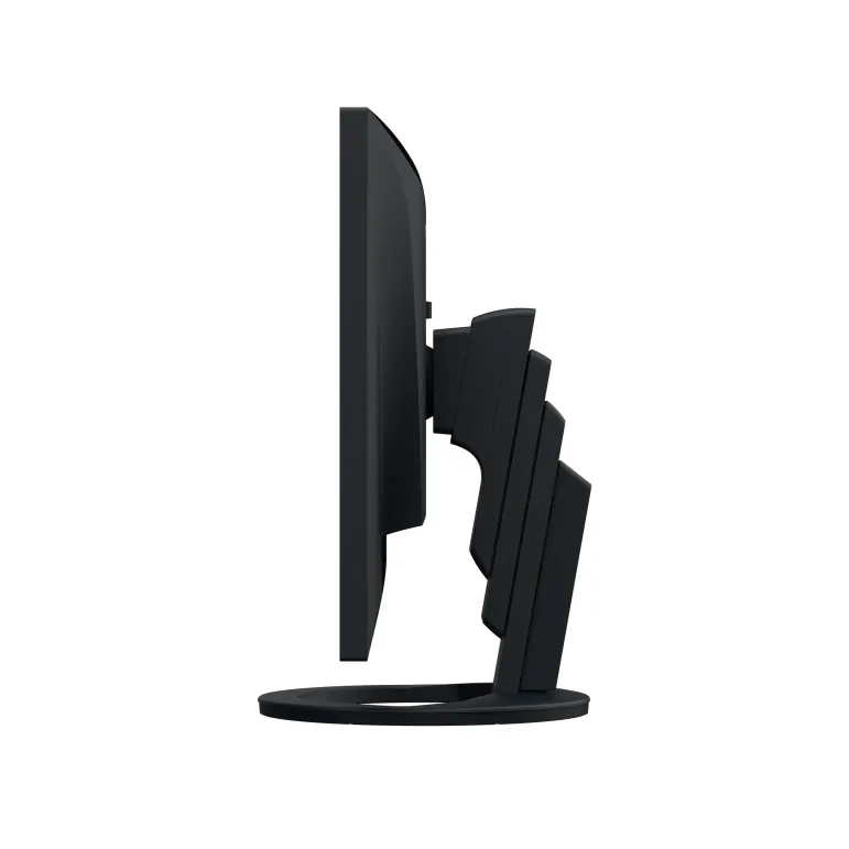 EIZO FlexScan EV2485 monitor 24" per progettazione CAD e 3D - NERO