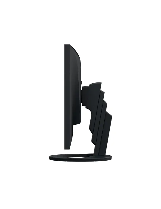 EIZO FlexScan EV2495 monitor 24" per progettazione CAD e 3D - NERO