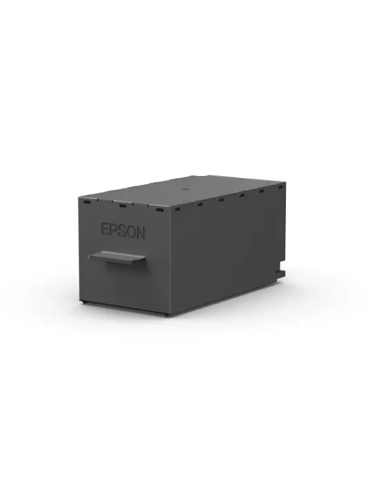 Epson SureColor SC-P900 Stampante fotografica professionale A2+ con Roll Unit Bundle