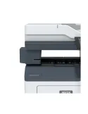 Xerox Pinzatrice esterna