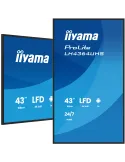 iiyama LH4364UHS-B1AG visualizzatore di messaggi Pannello piatto per segnaletica digitale 109,2 cm (43") LED Wi-Fi 500 cd m² 4K